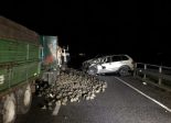 Kerzers FR - Autofahrer (30) bei Unfall mit Traktor verletzt