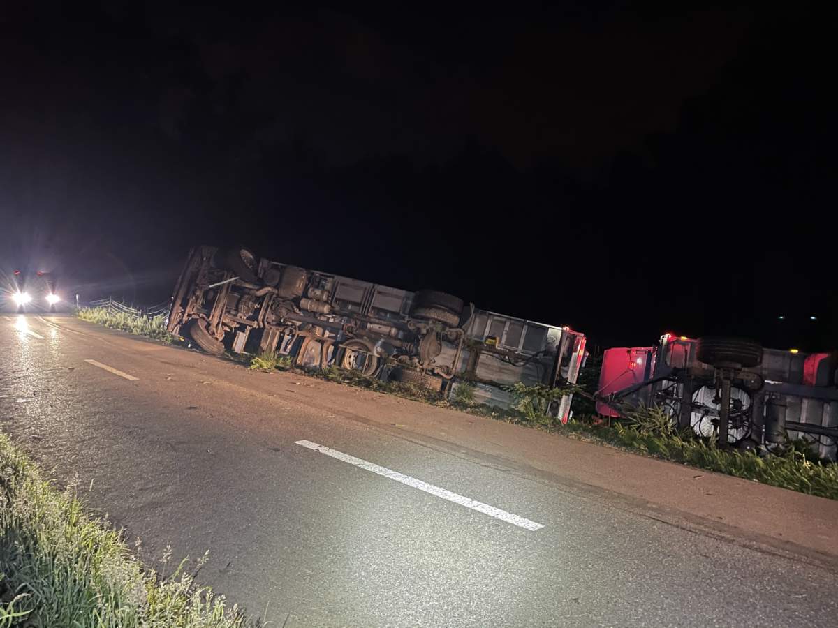 Fahrwangen Ag Schweinetransporter Bei Unfall Umgekippt Polizei Schweiz Ch