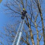 Zug: Katze aus 10 Meter Höhe gerettet