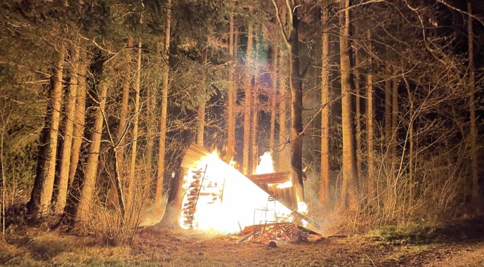 Zihlschlacht TG: Brand beim Waldgebiet Horchetaal