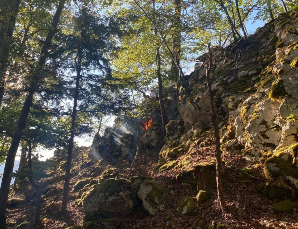 Balm bei Günsberg SO: Waldbrand gelöscht