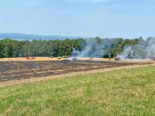 Steckborn TG: Ballenpresse gerät durch Funkenflug in Brand