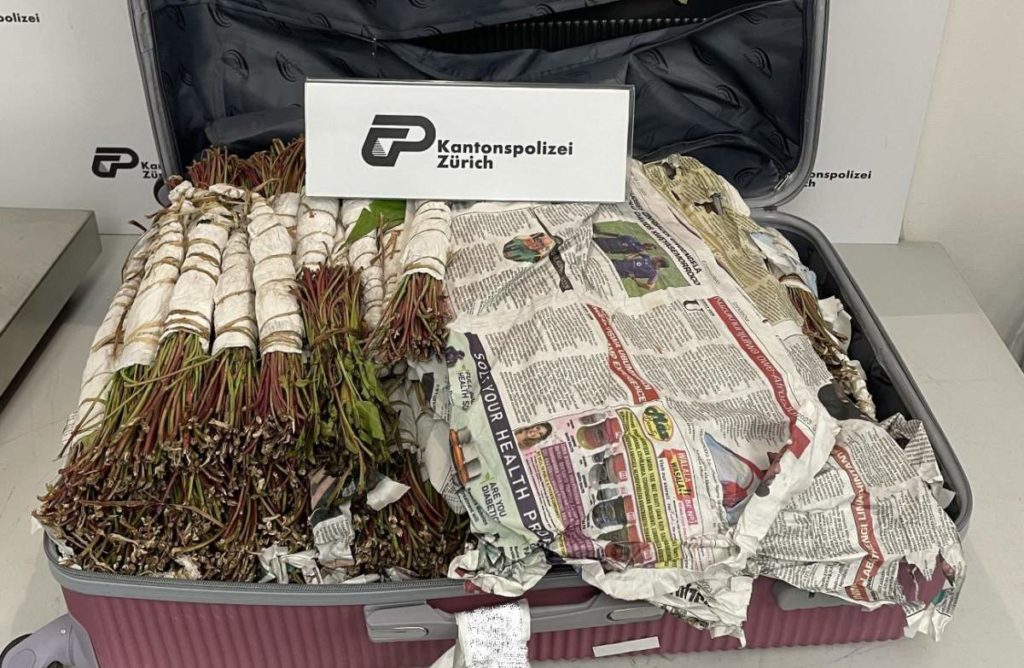 Flughafen Zürich: Drogenkurierin mit 46 Kilogramm Khat geschnappt