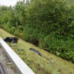 Sursee A2: Junglenker baut Unfall mit Sportwagen - 260'000 Fr. Sachschaden