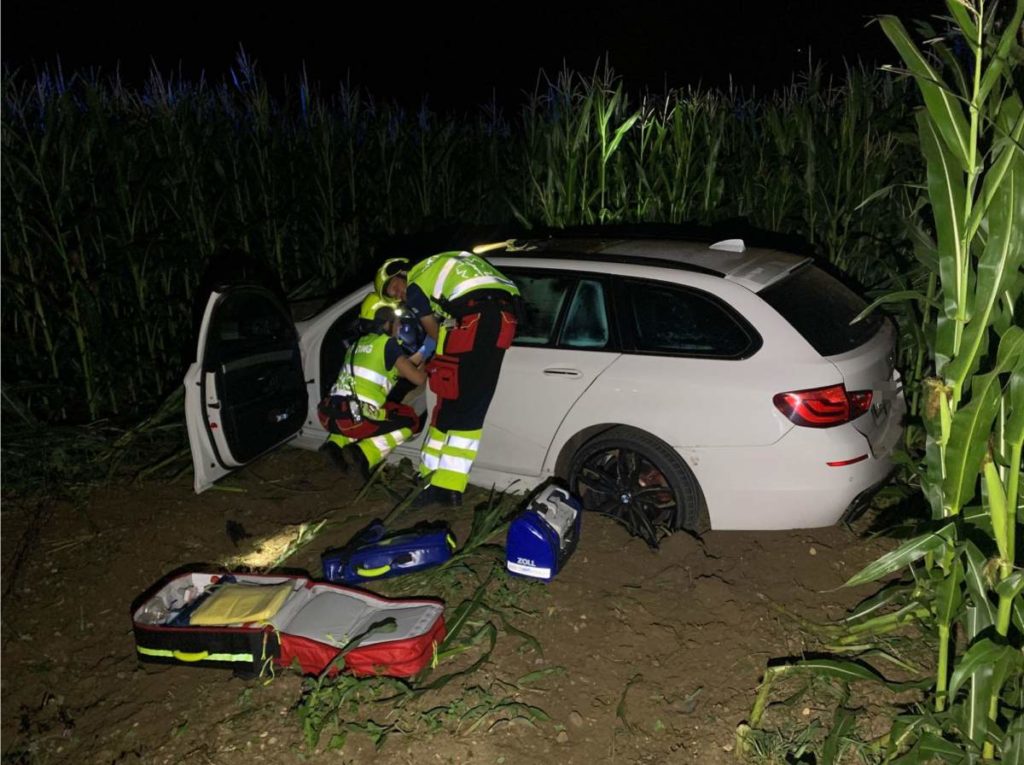 Kestenholz SO: Bei Unfall auf A1 Wildschutzzaun durchbrochen