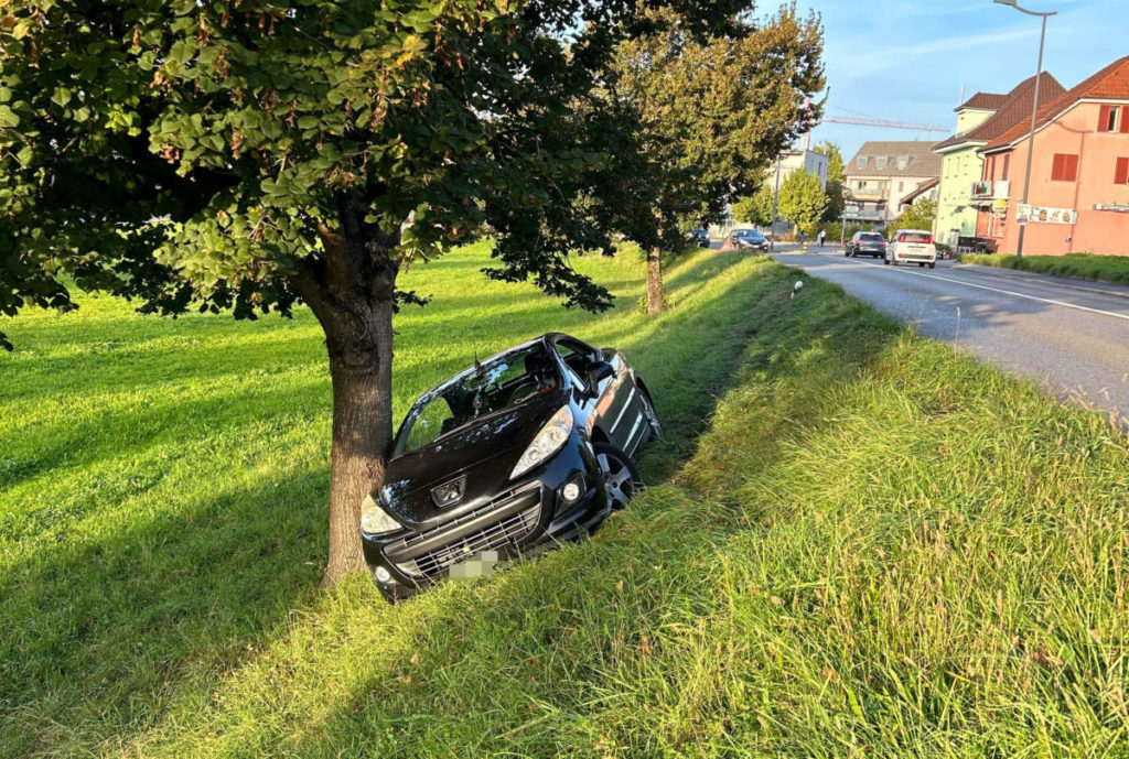 Windisch AG: Bei Unfall betrunken Böschung hinunter gefahren