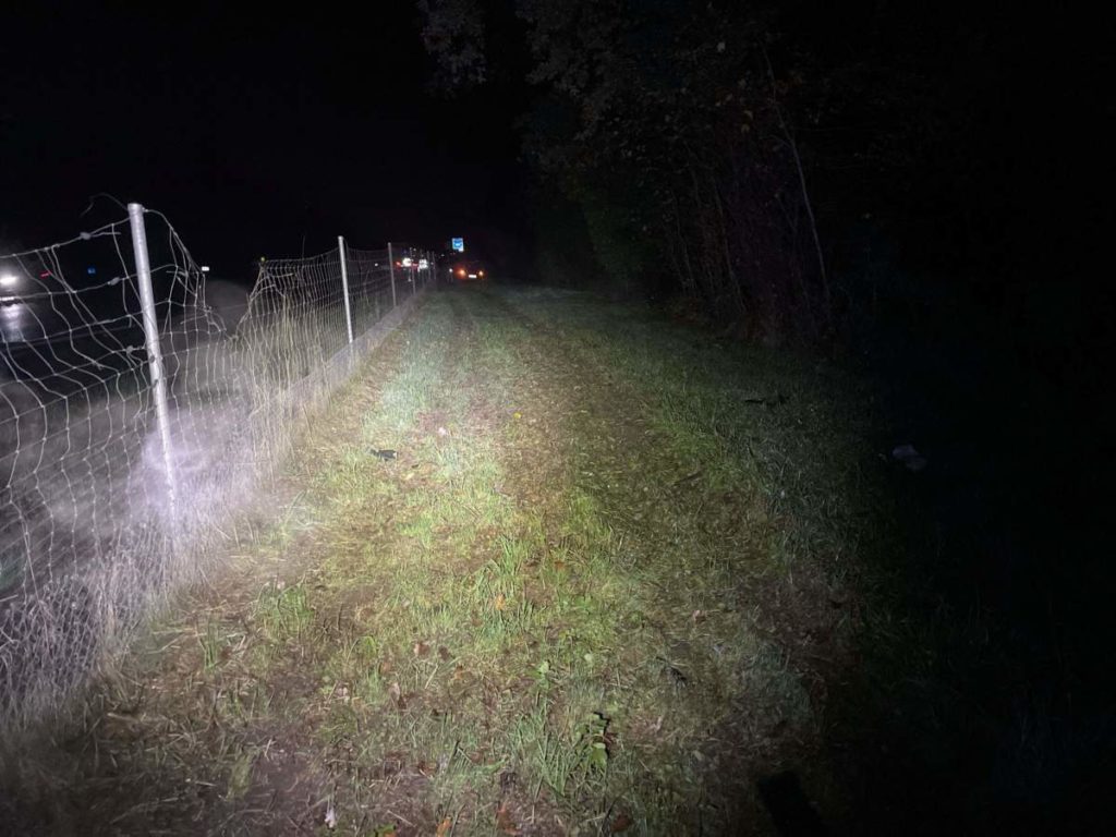 Unfall A1 Lenzburg AG: Junglenker prallt mit Karacho in Wildschutzzaun