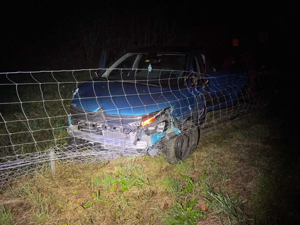 Unfall A1 Lenzburg AG: Junglenker prallt mit Karacho in Wildschutzzaun