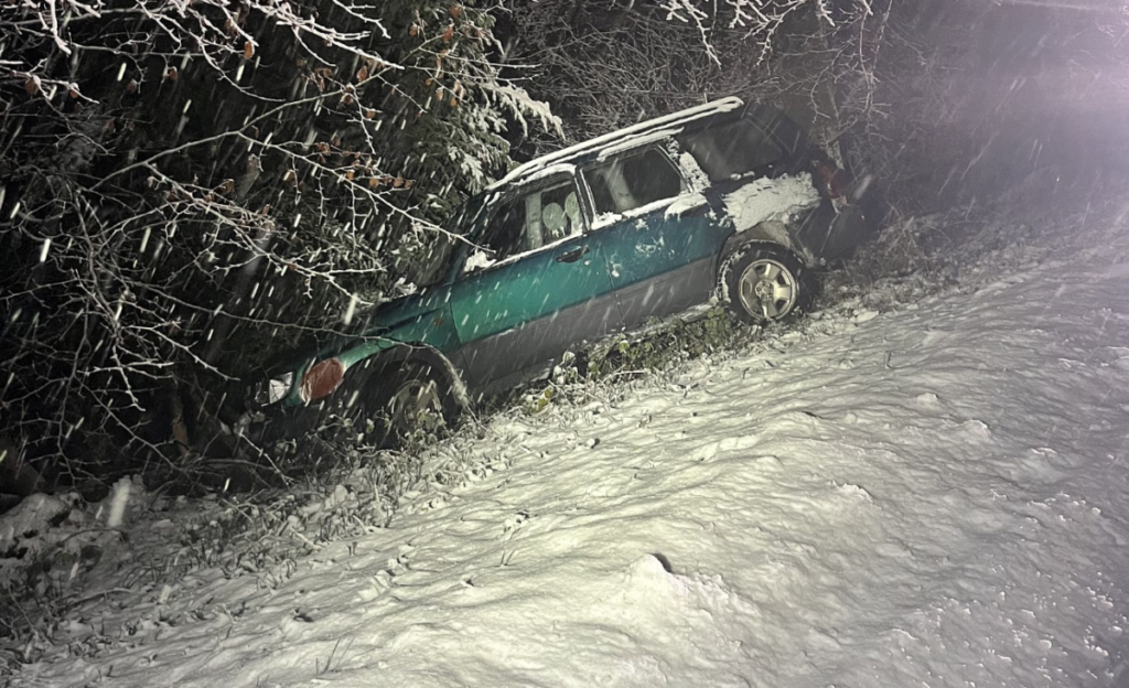 Rümlingen BL: Fahrzeug landet bei Unfall im Gebüsch