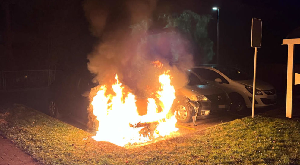 Frauenfeld TG: Auto auf Parkplatz am Bienenweg in Brand geraten