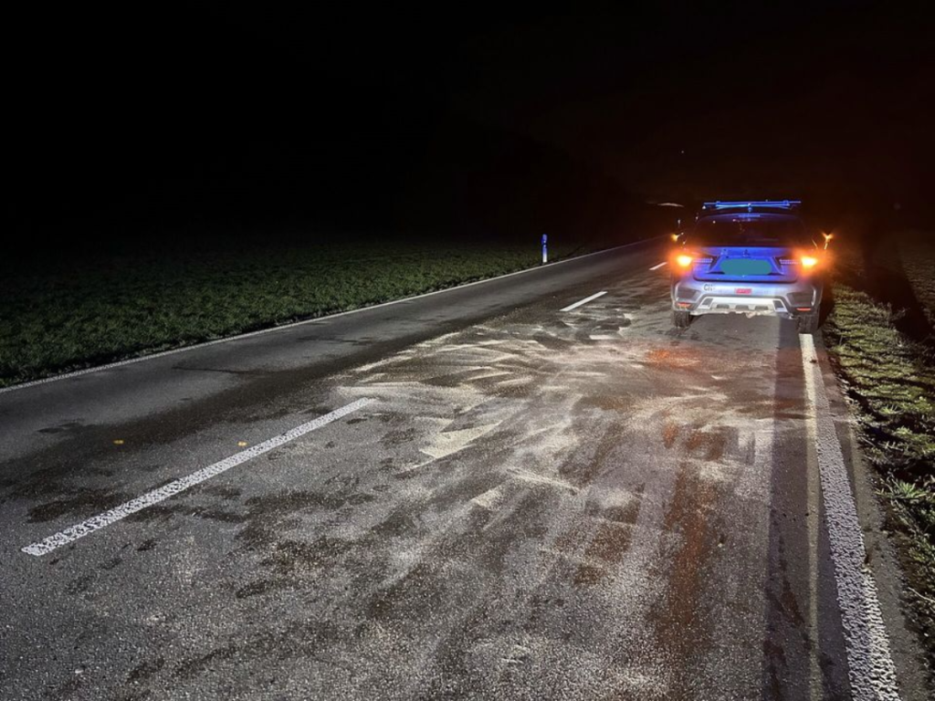 Neunkirch SH: Reh muss nach Unfall erlöst werden