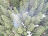 Mehrere Brände im Kanton Uri: Einsatzkräfte gefordert