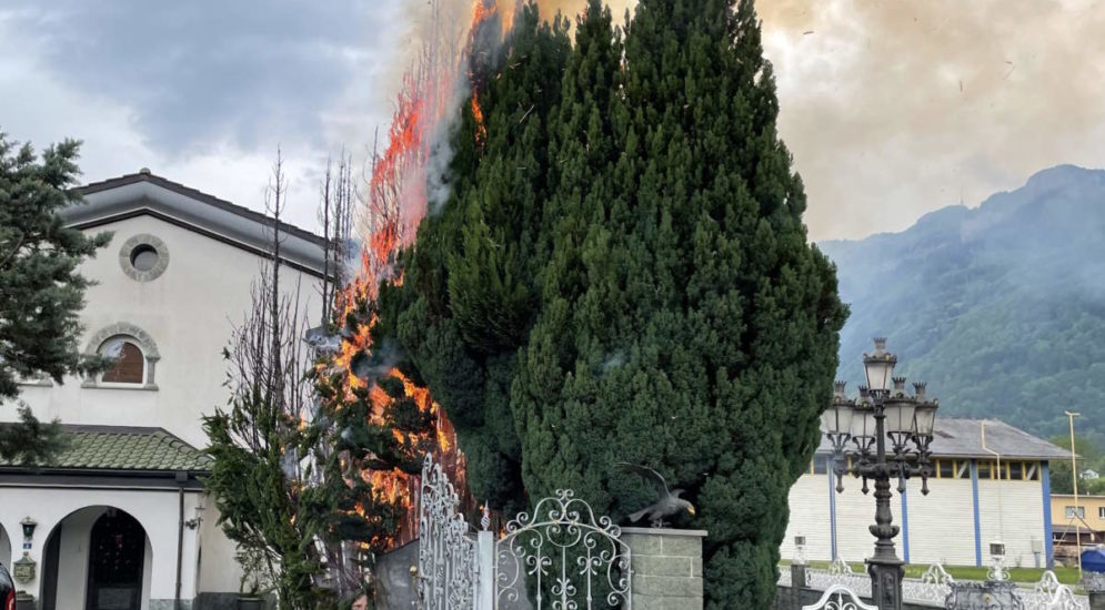 brennende Zypressen vor Wohnhaus