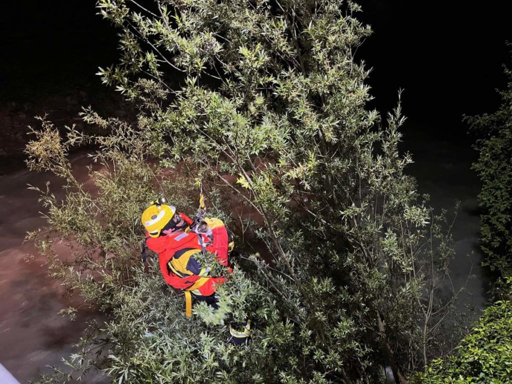 Feuerwehr rettet Katze