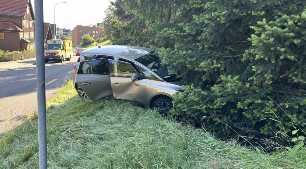 Grub AR: Lenker fährt bei Unfall in Wiesenbord