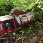 Mit Gras bedeckter Motorwagen im Wald