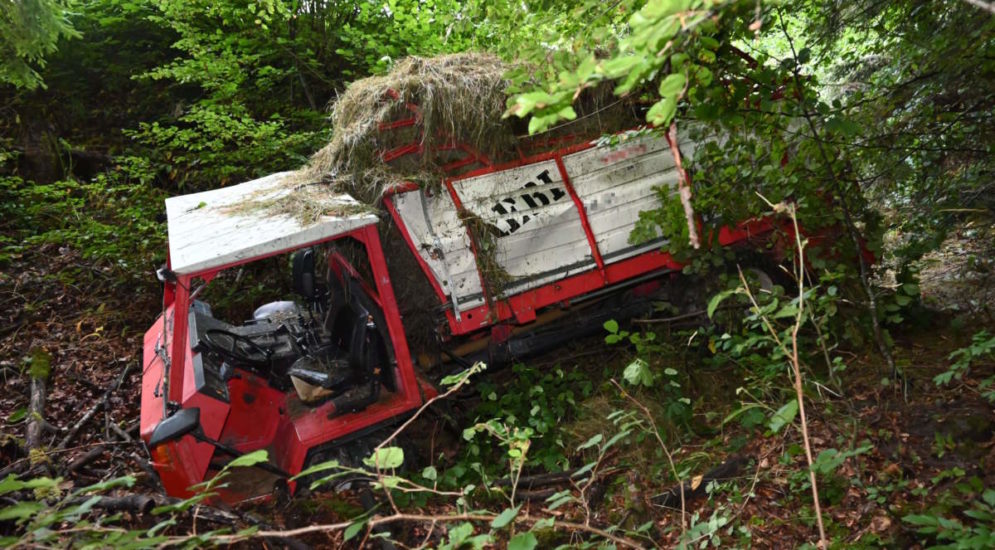 Mit Gras bedeckter Motorwagen im Wald