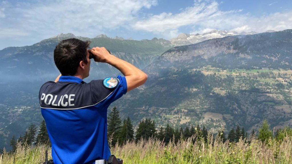 Bitsch/Riederalp VS: Schüsse lösten Waldbrand aus