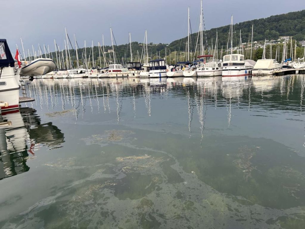 Cheyres FR: Ölaustritt auf dem Neuenburgersee