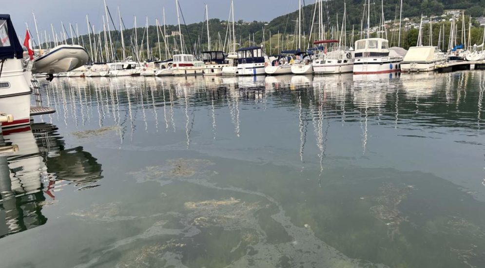 Cheyres FR: Ölaustritt auf dem Neuenburgersee