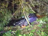 Unfall in Horw LU: Im Haltiwald in Baum gecrasht