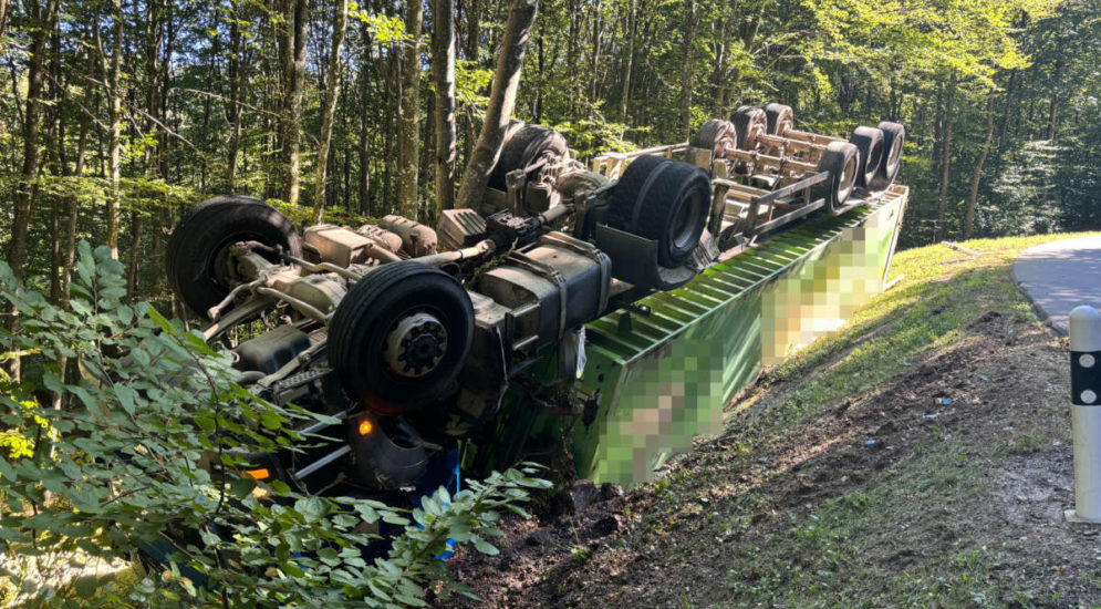 Berlingen (TG): Unfall eines mit Häckselmais beladenen Sattelzugs