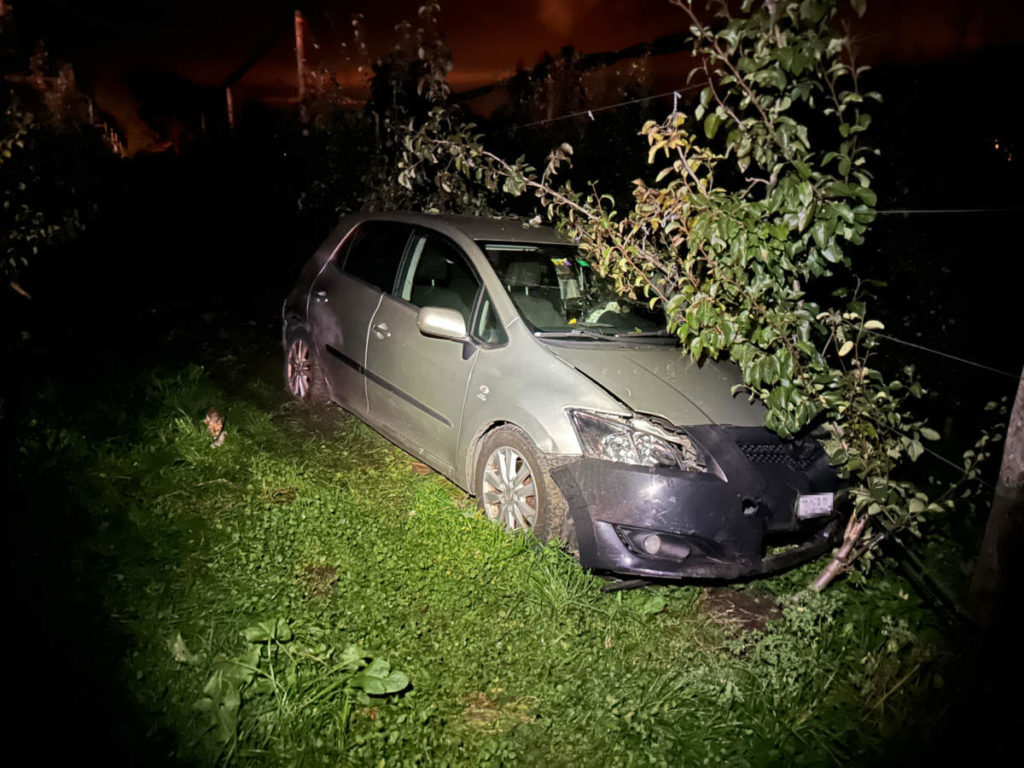 Auto vs Apfelbäumchen im dunklen Feld