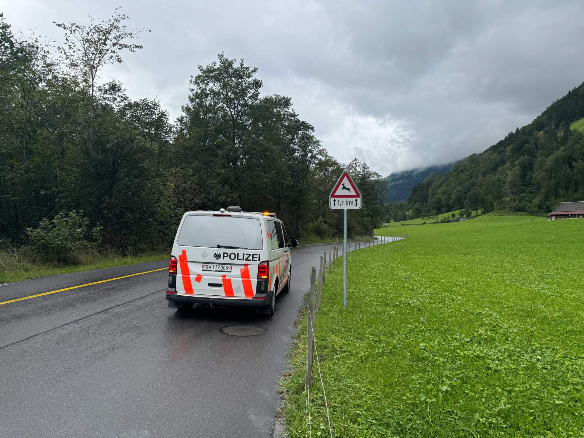 . Wie man sich in der Schweiz vor Wildunfällen schützen kann