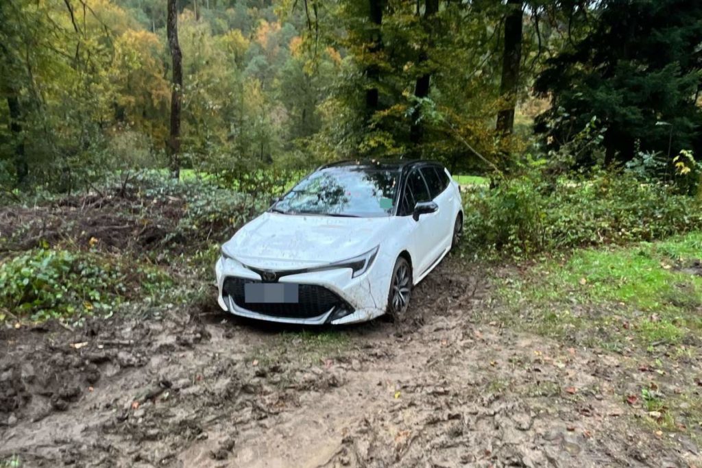 Nuglar (SO): Einbrecher nach Bürgerhinweis im Wald verhaftet