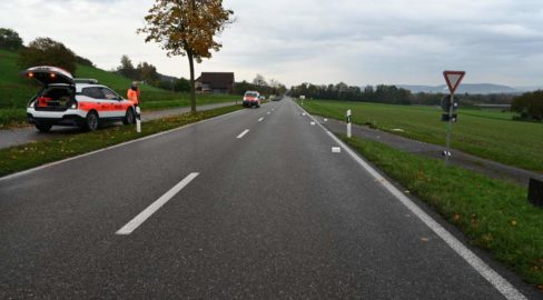 Fussgänger in Winkel (ZH) von Lieferwagen erfasst – schwer verletzt