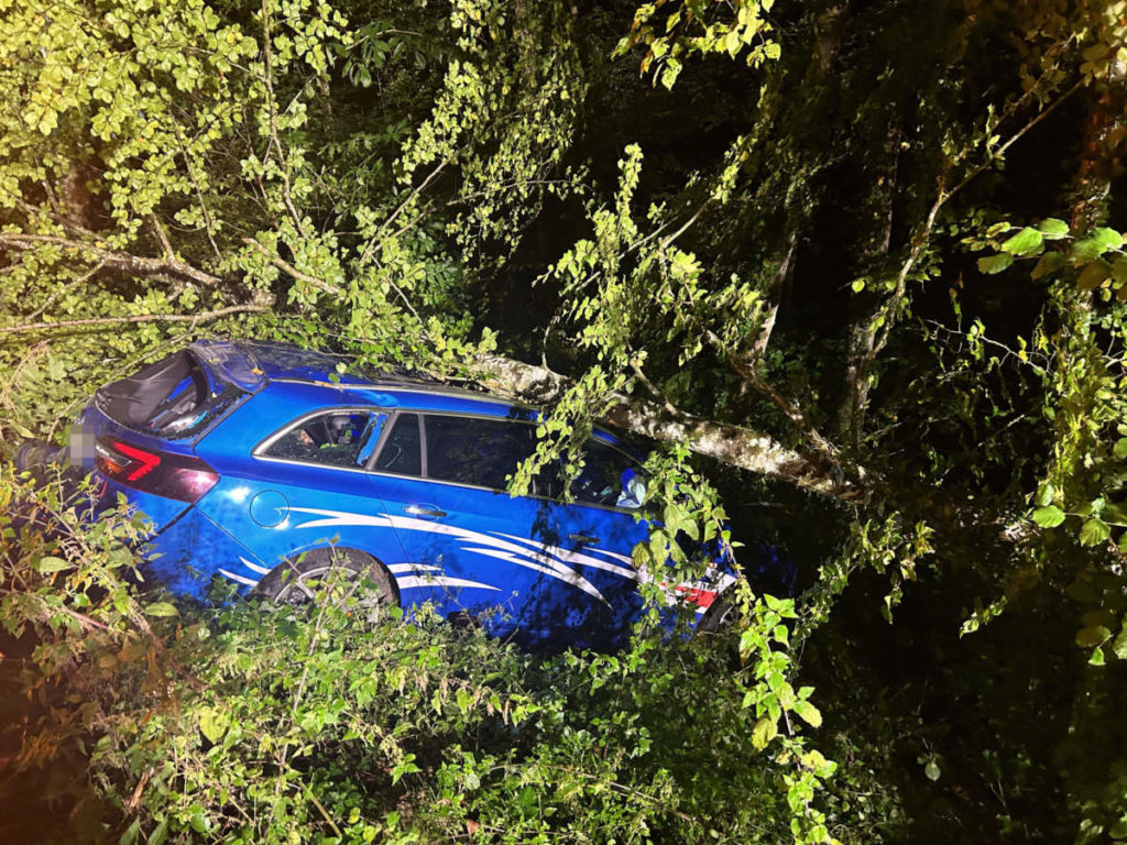 blauer Opel im Gebüsch