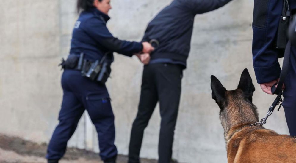 polizei hund