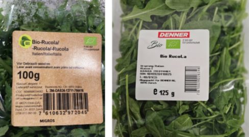 2 Schalen mit Rucola