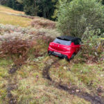 im Wiesland vor einem Baum steckengebliebenes rotes Auto