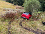 im Wiesland vor einem Baum steckengebliebenes rotes Auto