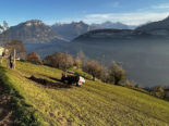 Motorkarren auf Wiesenabhang