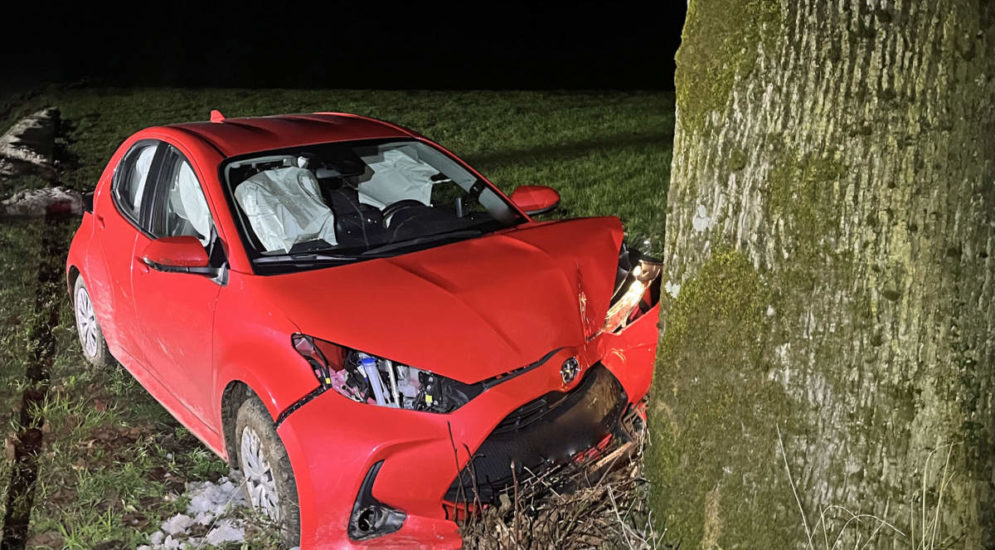 Unfall in Udligenswil LU: Lernfahrer prallt frontal in Baum