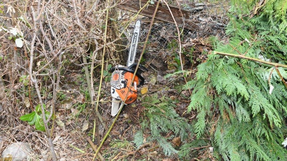 Unfall mit Kettensäge in Speicherschwendi AR – Rettung im Einsatz