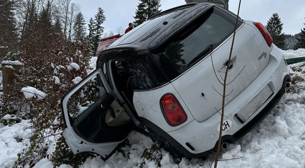 Urnäsch AR: Lenkerin verliert bei Unfall Kontrolle und landet im Wiesbord