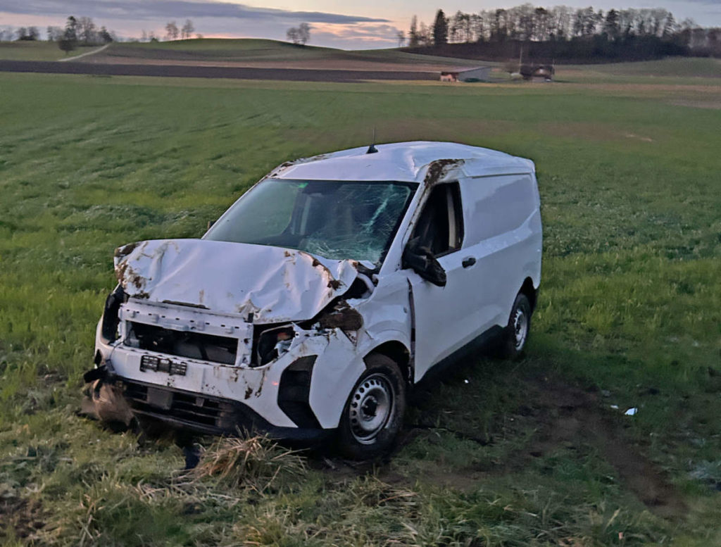 Unfallfoto: Verbeulter weisser Lieferwagen auf Wiese