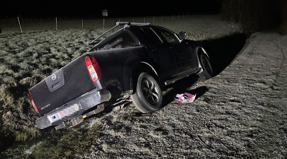 Scherzingen TG: Unfall mit geklautem Auto - Diebe flüchten