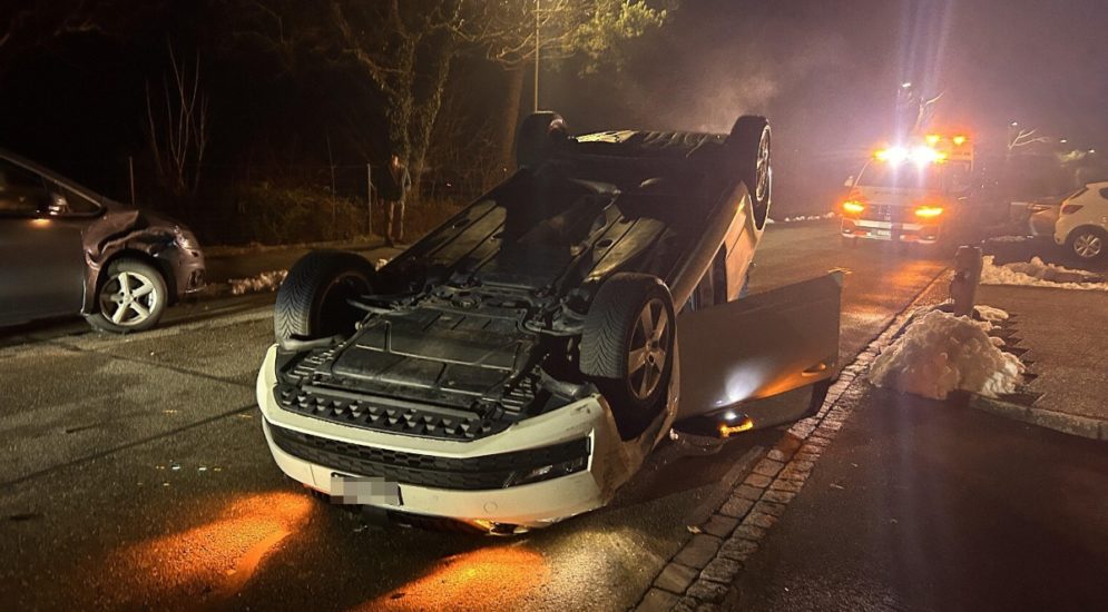 https://www.polizei-schweiz.ch/buchs-ag-betrunkener-lenker-landet-nach-unfall-auf-dem-dach/