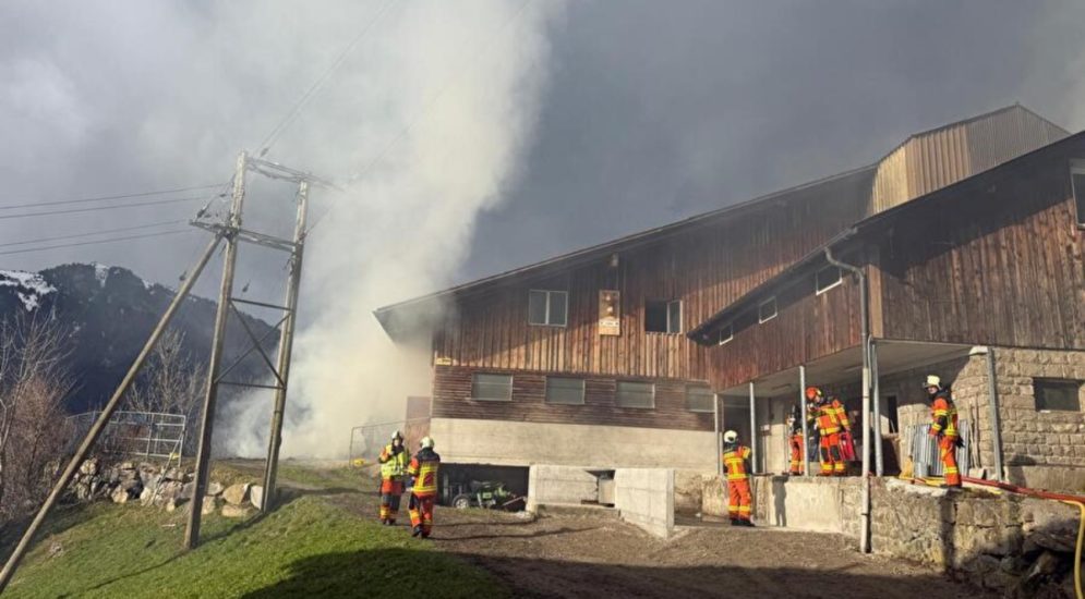 Altdorf UR: Stallbrand fordert zwei Verletzte