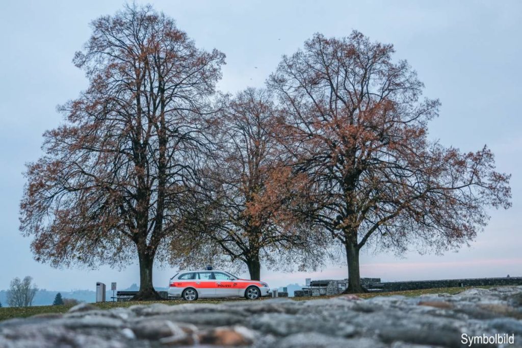 Eglisau ZH: Kind stürzt in Weiher – Rettungskräfte im Einsatz