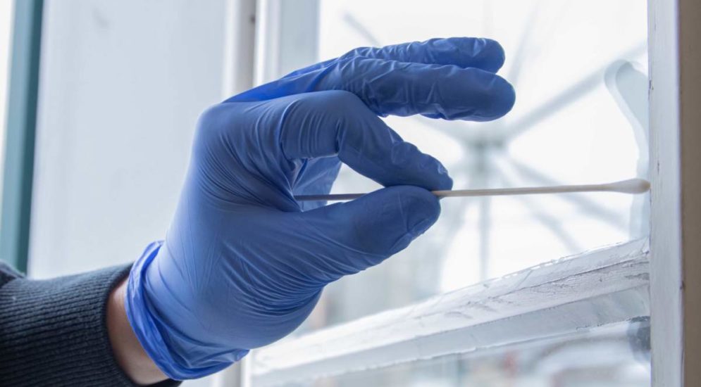 Symbolfoto: Hand in blauem Gummihandschuh nimmt mit Wattestäbchen eine Probe von einem Fenster