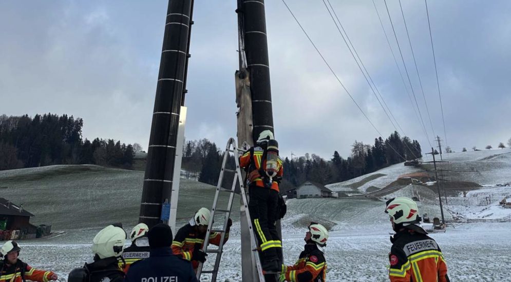 Feuerwehrkräfte an Leiter an Hochspannungsmast