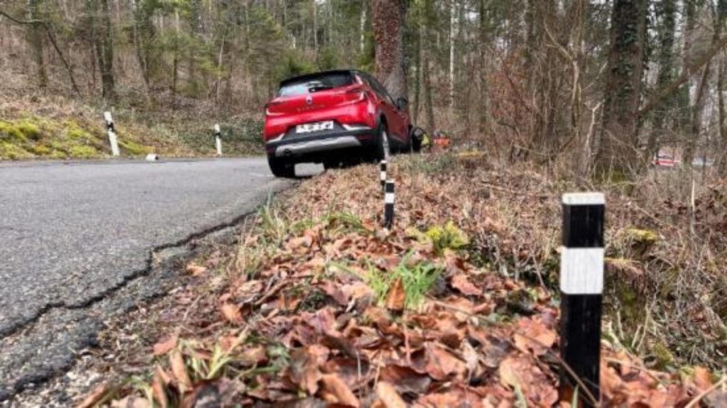 Sünikon ZH: 78-jährige Lenkerin prallt bei Unfall gegen Baum