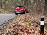 Sünikon ZH: 78-jährige Lenkerin prallt bei Unfall gegen Baum