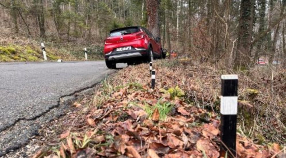 Sünikon ZH: 78-jährige Lenkerin prallt bei Unfall gegen Baum